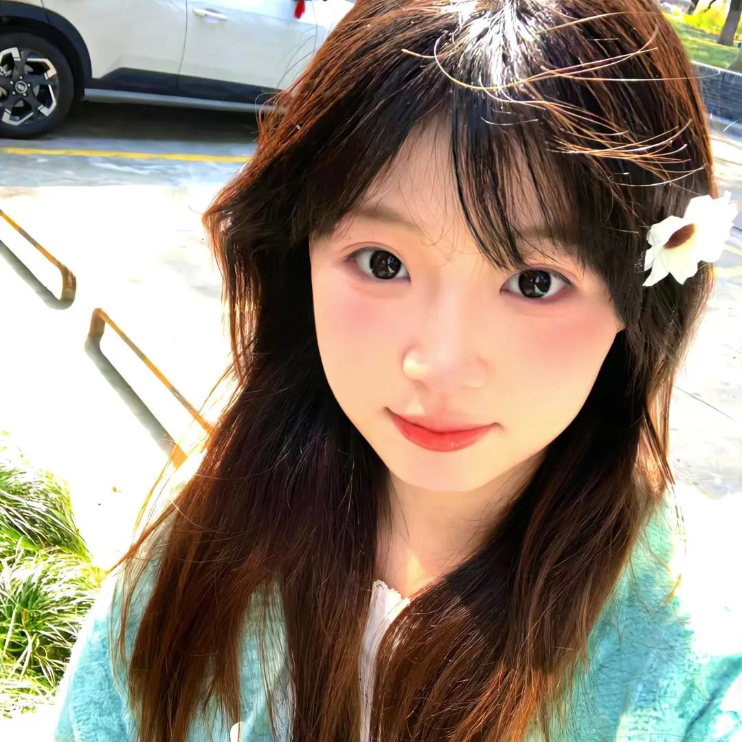 蒂蒂日记